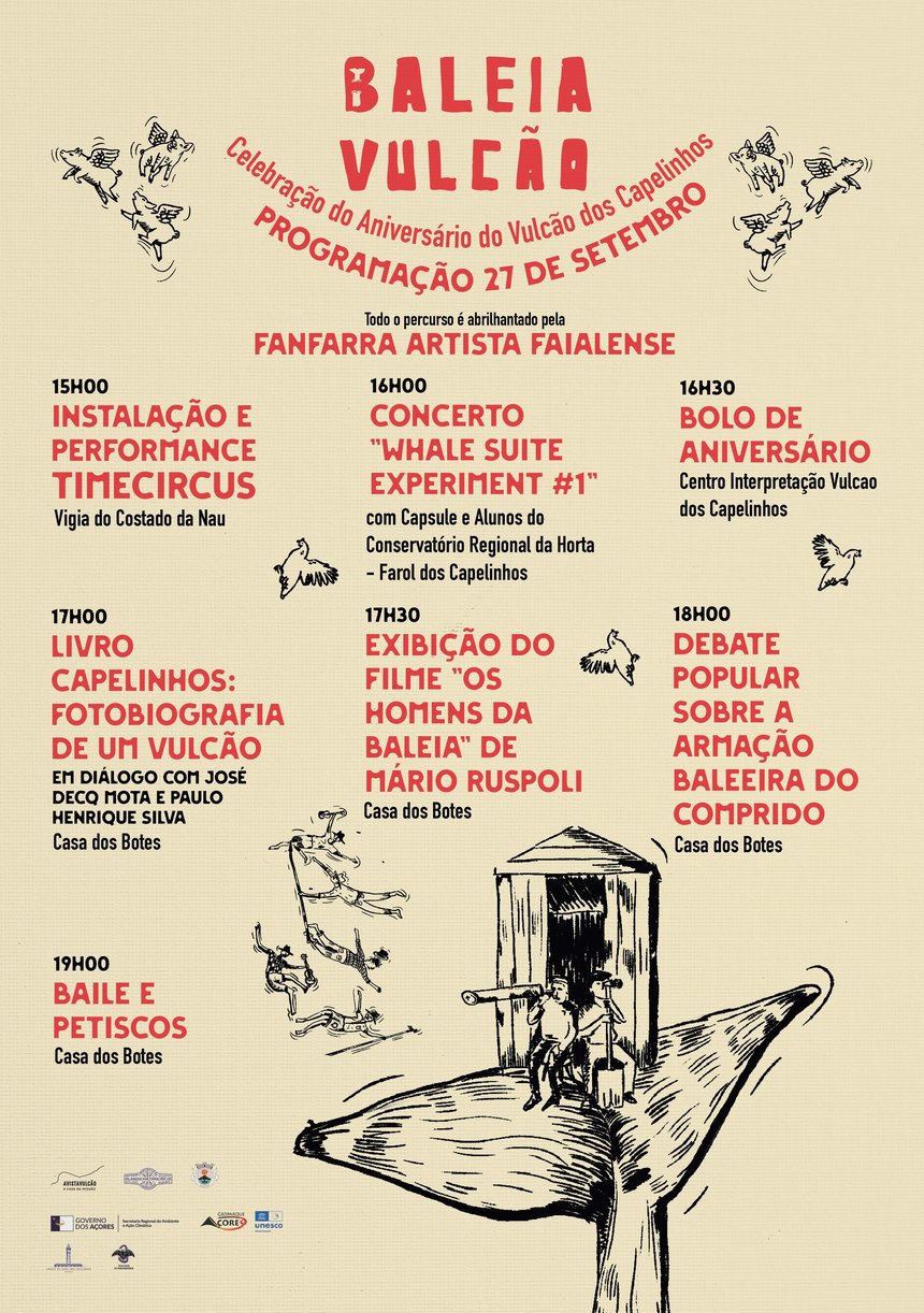 baleia vulcao_programação